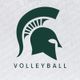 Michigan State Volleyball