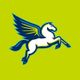 Dallas Wings
