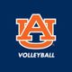 Auburn Volleyball