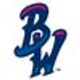 Pensacola Blue Wahoos