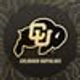 Colorado Buffaloes