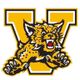 Valdosta Wildcat Football