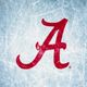 Alabama Hockey AAU