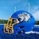 Alden Football