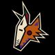 Arizona Coyotes