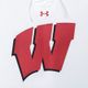 Wisconsin Hockey