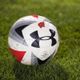 Wisconsin Soccer