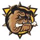 Brantford Bulldogs