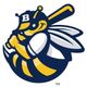 Burlington Bees