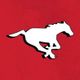 Calgary Stampeders