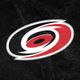 Carolina Hurricanes