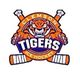 Clemson Ice Hockey