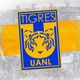 🇺🇦 Club Tigres  8️⃣🏆