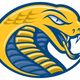 Coker Men's Basketball