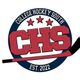 College Hockey South