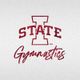 Cyclone Gymnastics