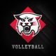 Davidson Volleyball