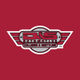 D&S Automotive Collision & Restyling