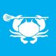 ECD Lacrosse
