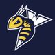 ED_Stingers