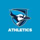 Elmhurst University Bluejays