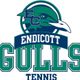 Endicott Tennis