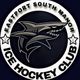ESM Sharks Ice Hockey Club