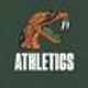 FAMU Athletics