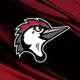 Fayetteville Woodpeckers