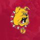 Ferris State Hockey