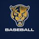 FIU Baseball