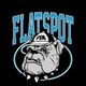 Flatspot Records