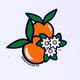 FLAVAR | 𝐅𝐋𝐎𝐑𝐈𝐃𝐀 𝐕𝐀𝐑𝐈𝐄𝐓𝐘 🍊