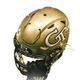 Georgia Tech Football