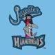 Jupiter Hammerheads