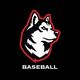 Northeastern Baseball