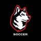 Northeastern WSOC