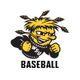 Wichita State Baseball