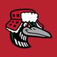 Great Lakes Loons