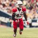 Haason Reddick #43