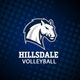 Hillsdale College Volleyball