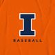 Illinois Baseball