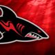 Jacksonville Sharks