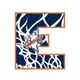 Paterson Eastside Girls Basketball Program
