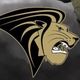 Lindenwood DII Hockey