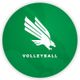 Mean Green Volleyball