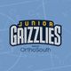 Grizzlies Youth Basketball