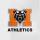 Mercer Bears