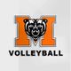 Mercer Volleyball