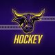 Minnesota State Hockey